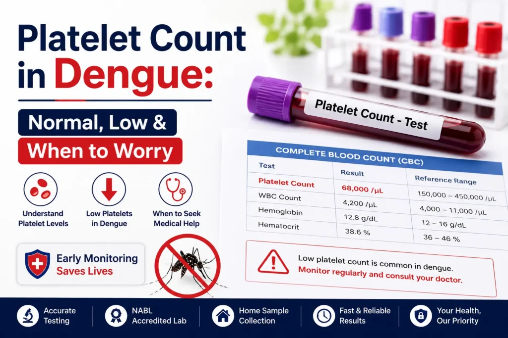 Platelet Count in Dengue – Normal, Low and When to Worry